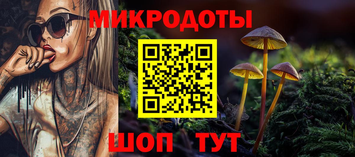 Псилоцибиновые грибы мухоморы  магазин    Ставрополь  Вход с VPN 