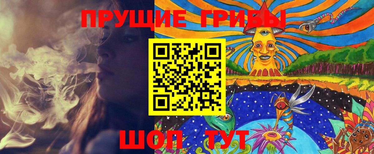 Псилоцибиновые грибы прущие грибы Ставрополь